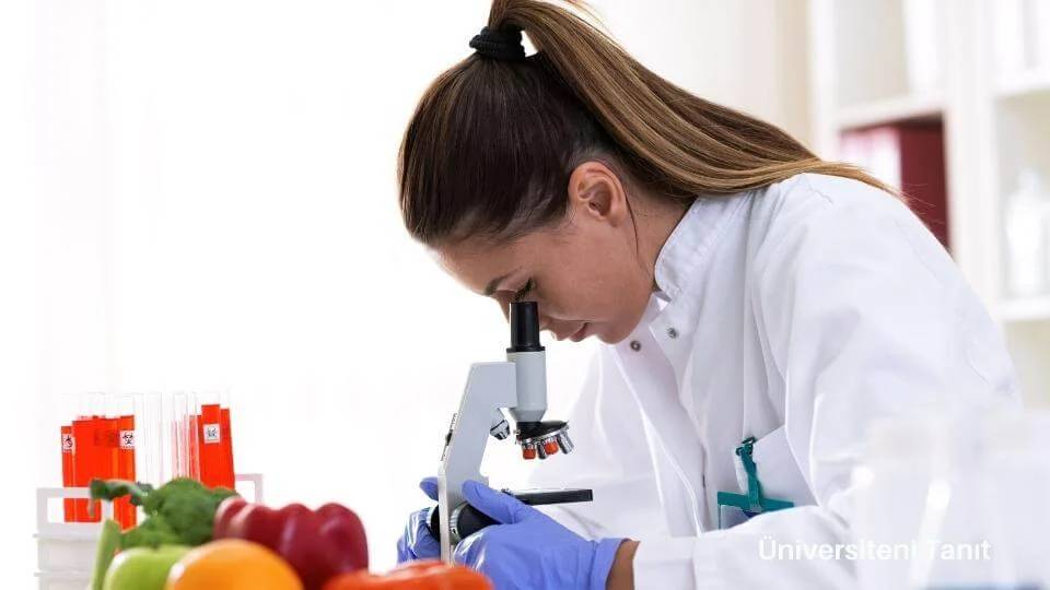 Tarım ve Orman Bakanlığı personel alımı başvurusu devam ediyor 6