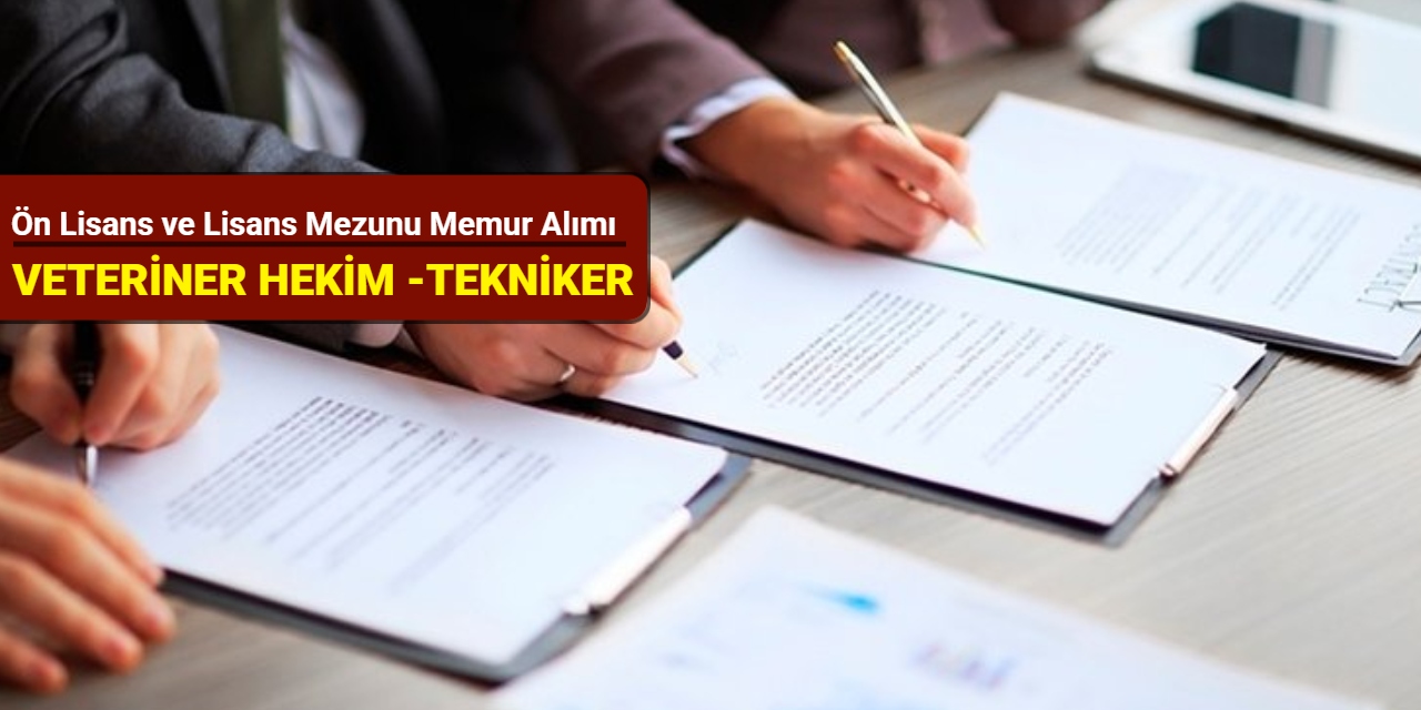 Ön lisans-lisans mezunu: Selçuklu Belediye Başkanlığı memur alımı başvurusu başladı 2025