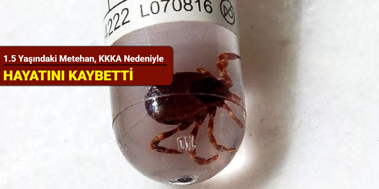 1.5 yaşındaki Metehan, Kırım Kongo Kanamalı Ateşi nedeniyle hayatını kaybetti