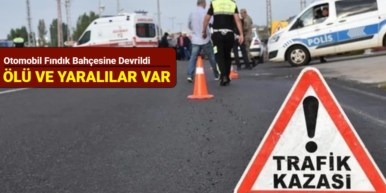 Otomobil fındık bahçesine devrildi: Ölü ve yaralılar var