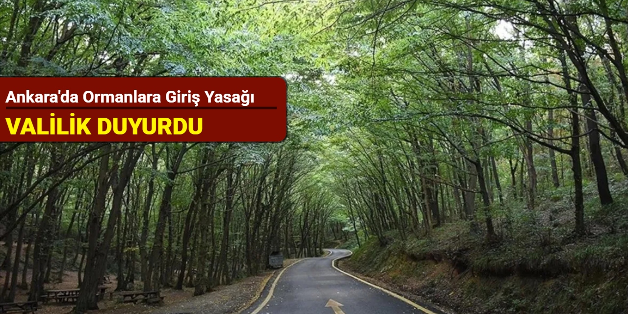 Ankara'da ormanlara giriş yasağı