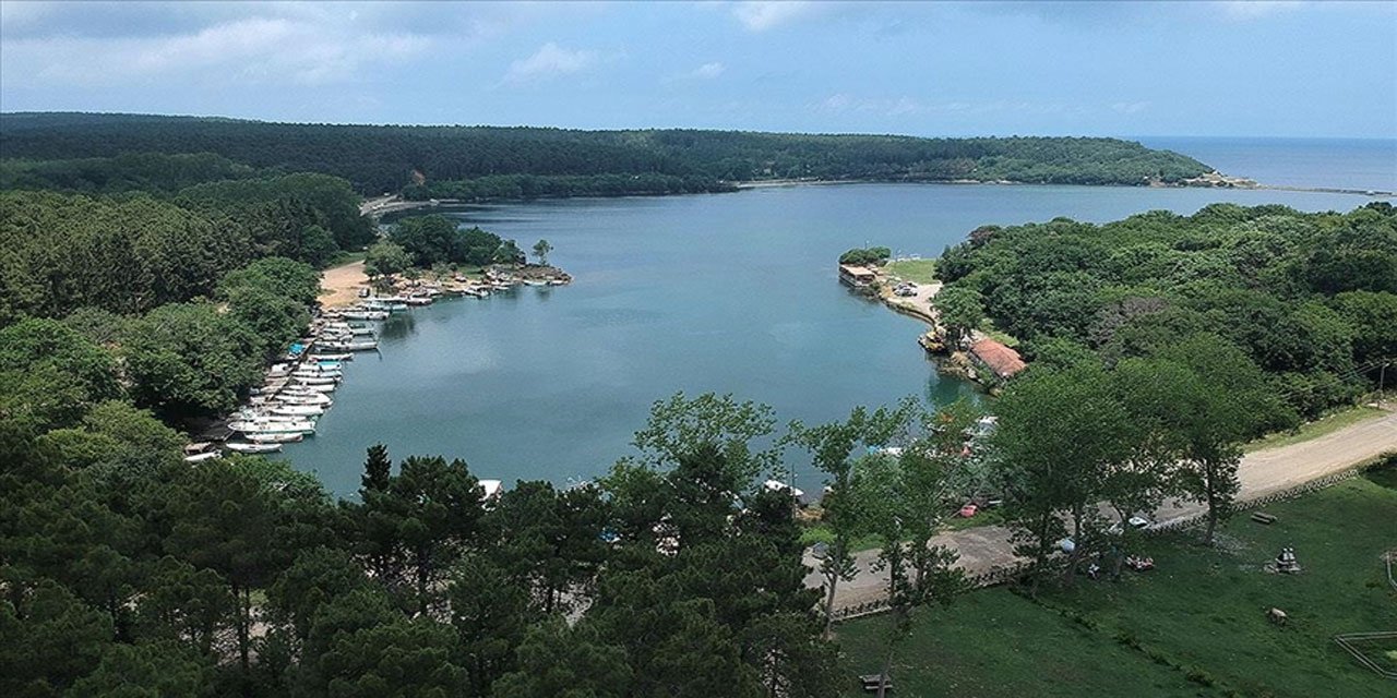 Sinop'ta ormanlara giriş 5 ay yasaklandı