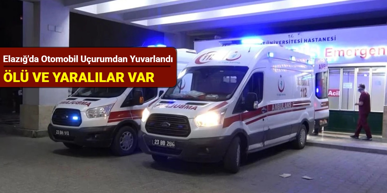 Elazığ'da otomobil uçurumdan yuvarlandı: Ölü ve yaralılar var