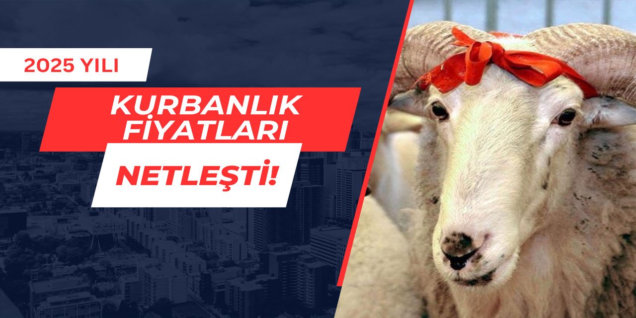 Kurbanlık fiyatları netleşti: İşte büyükbaş ve küçükbaş kurbanlık fiyatları