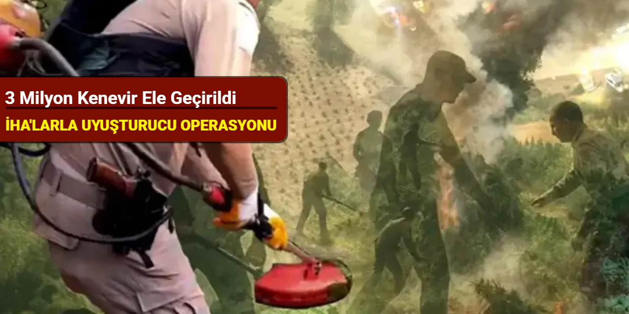 İHA'larla uyuşturucu operasyonu: 3 milyon kenevir ele geçirildi