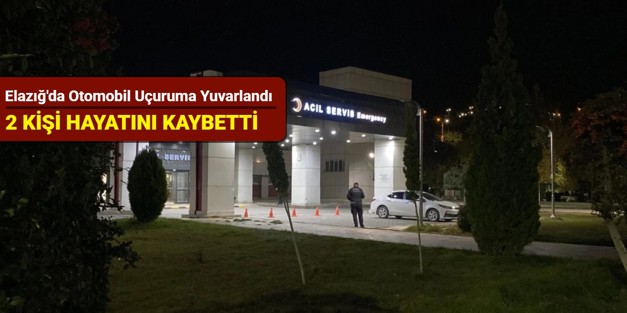 Elazığ'da otomobil uçuruma yuvarlandı: 2 kişi hayatını kaybetti, 1 kişi yaralandı