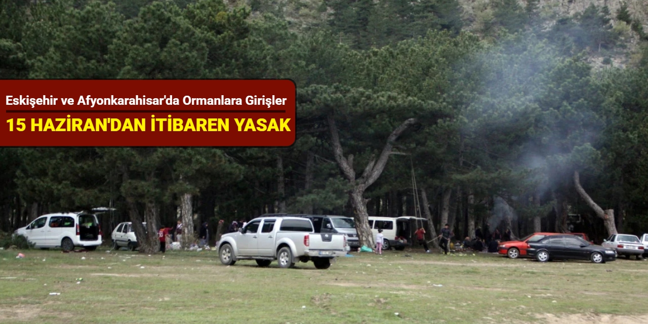 Eskişehir ve Afyonkarahisar'da ormanlara girişler, 15 Haziran'dan itibaren yasak