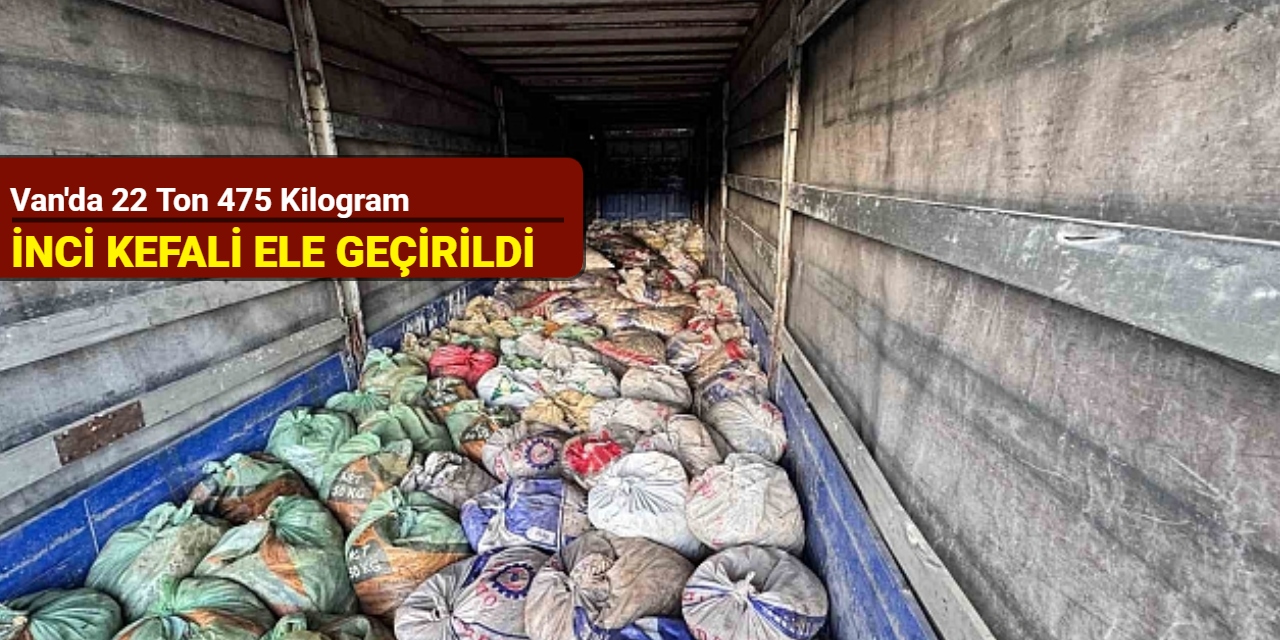 Van'da 22 ton 475 kilogram inci kefali ele geçirildi
