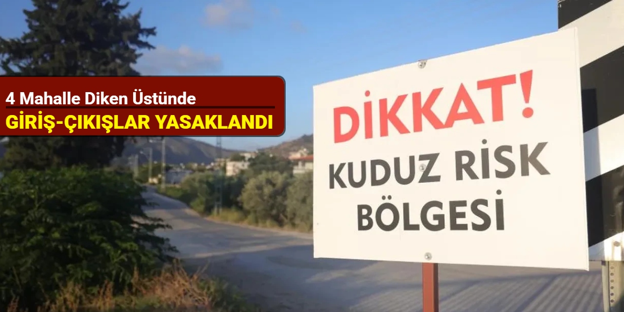 4 mahalle diken üstünde: Giriş-çıkışlar yasaklandı