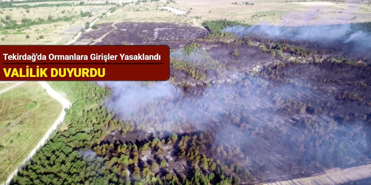 Tekirdağ'da ormanlara girişler yasaklandı