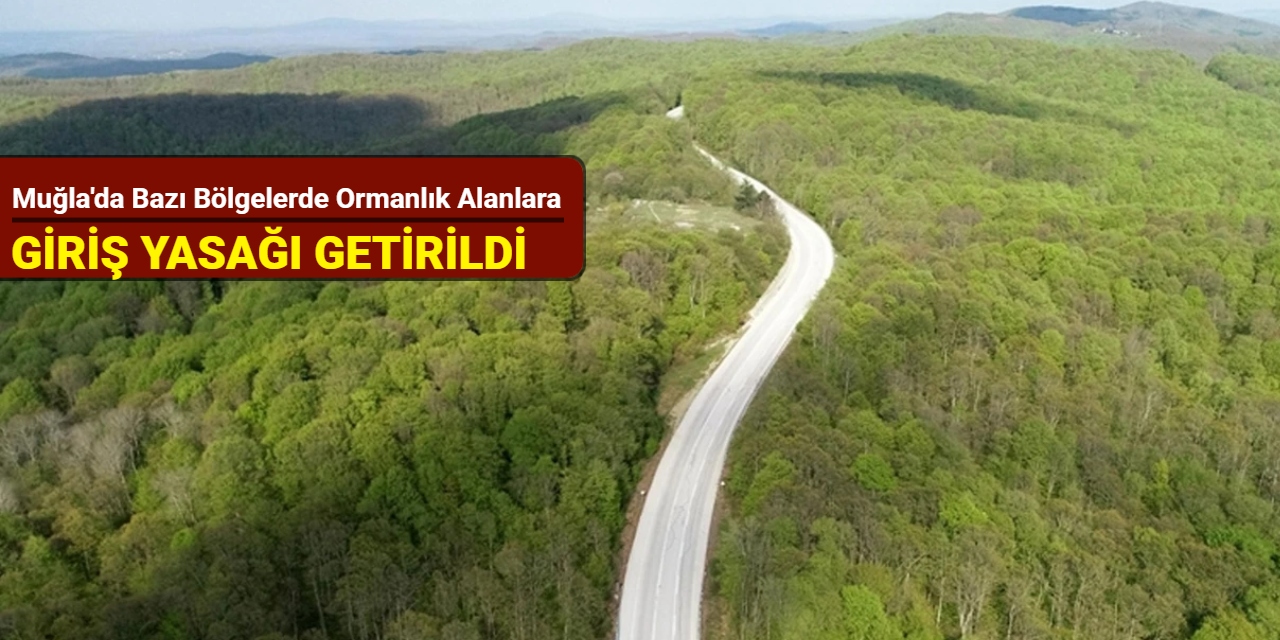Muğla'da bazı bölgelerde ormanlık alanlara giriş yasağı getirildi