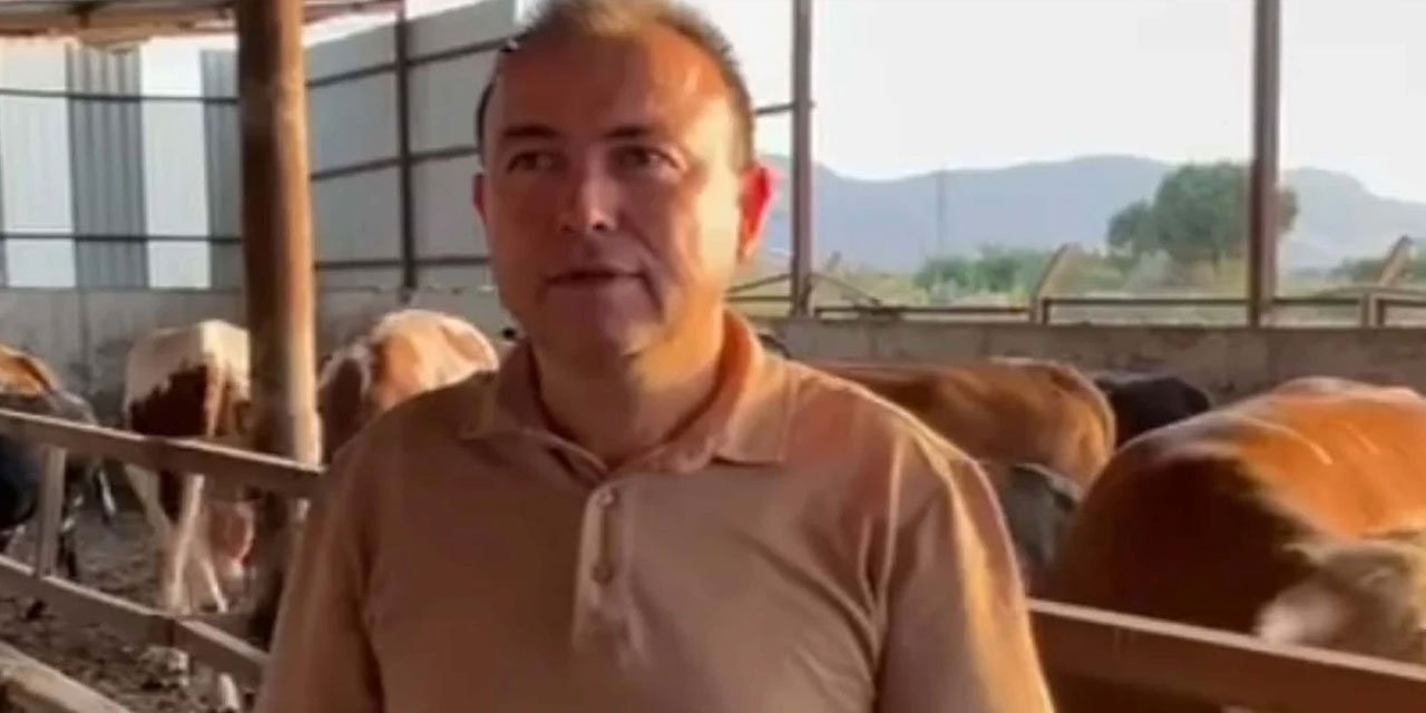 Manisa'da dananın saldırısına uğrayan adam hayatını kaybetti