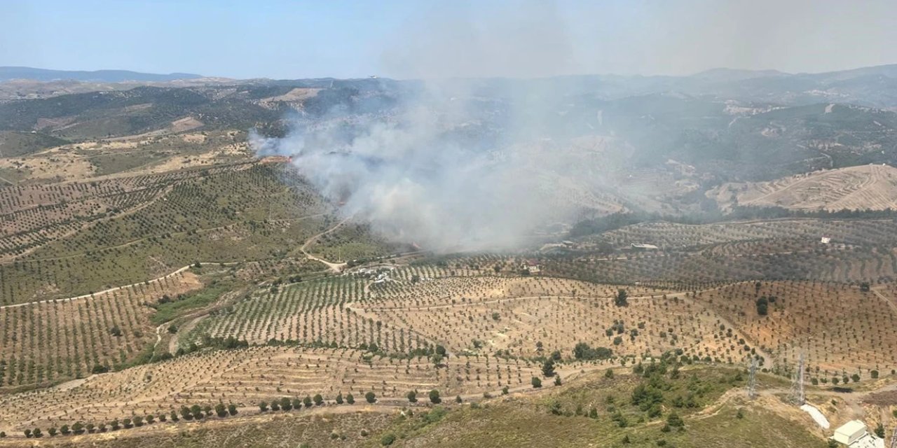 İzmir'de orman yangını çıktı