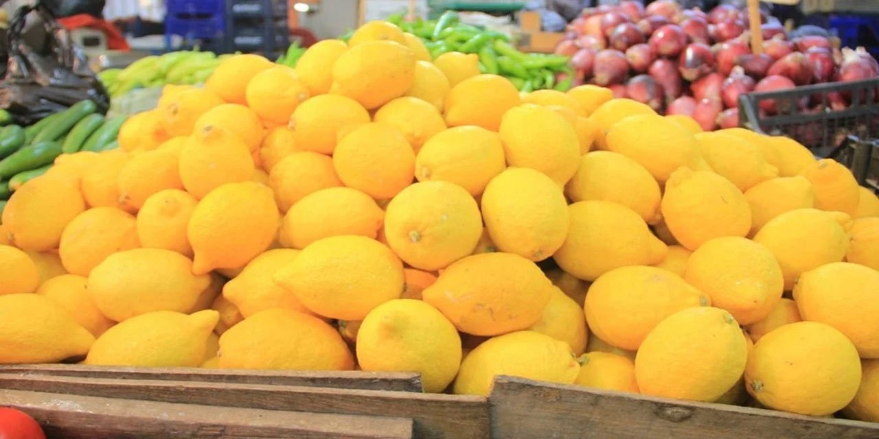 Zirai don fiyatları uçurdu: Limonun tanesi 27 TL oldu