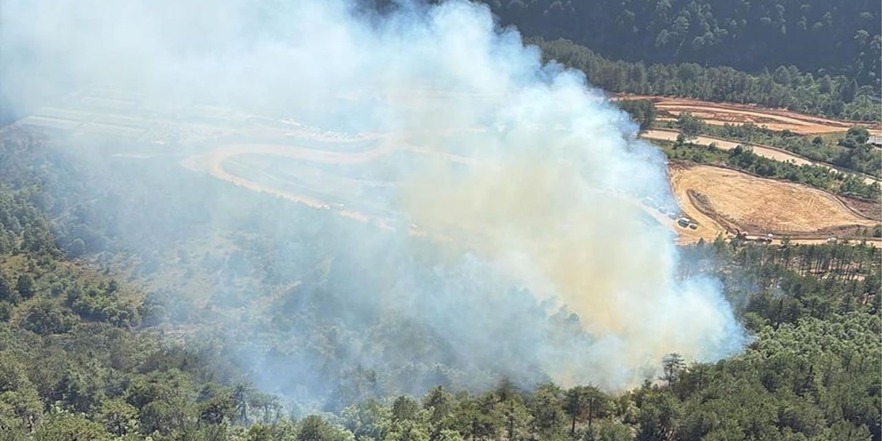 Balıkesir'de orman yangını çıktı