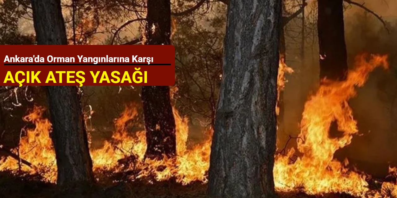 Ankara'da orman yangınlarına karşı açık ateş yasağı