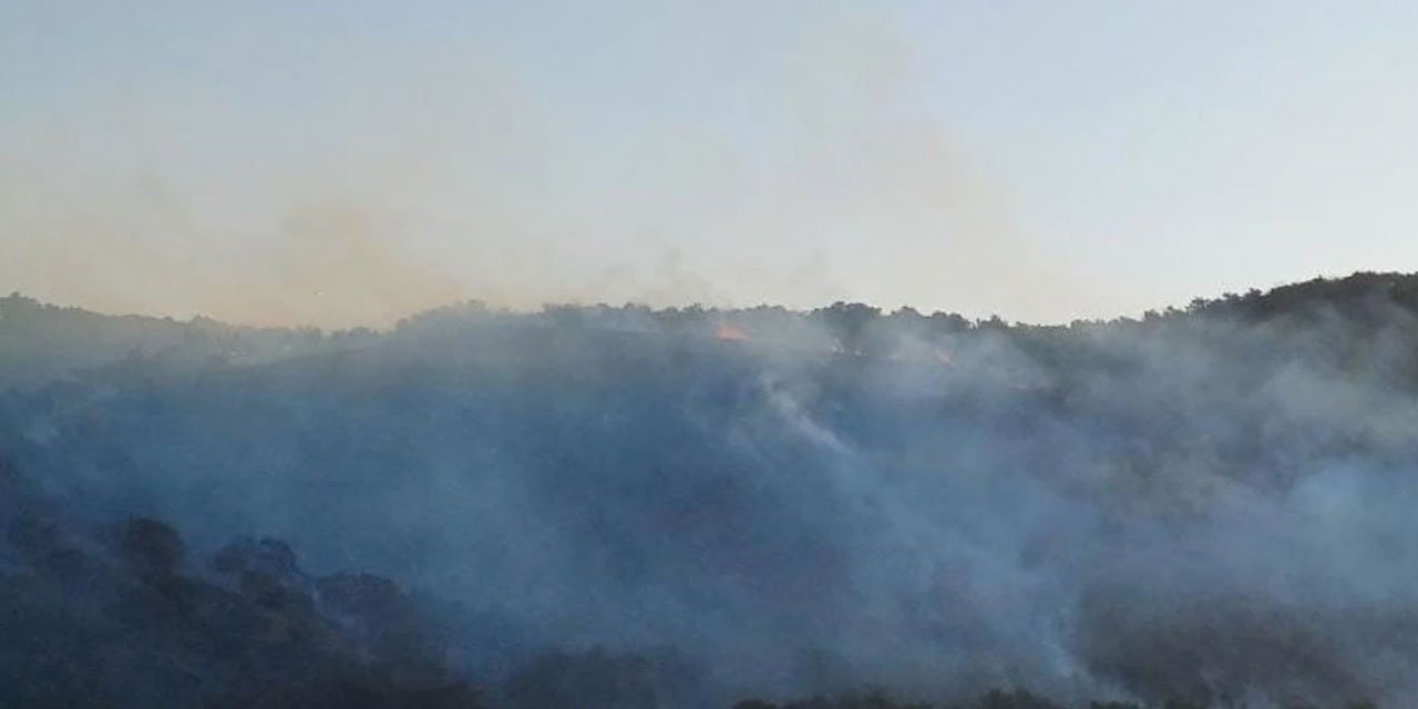 Hatay'da orman yangını çıktı
