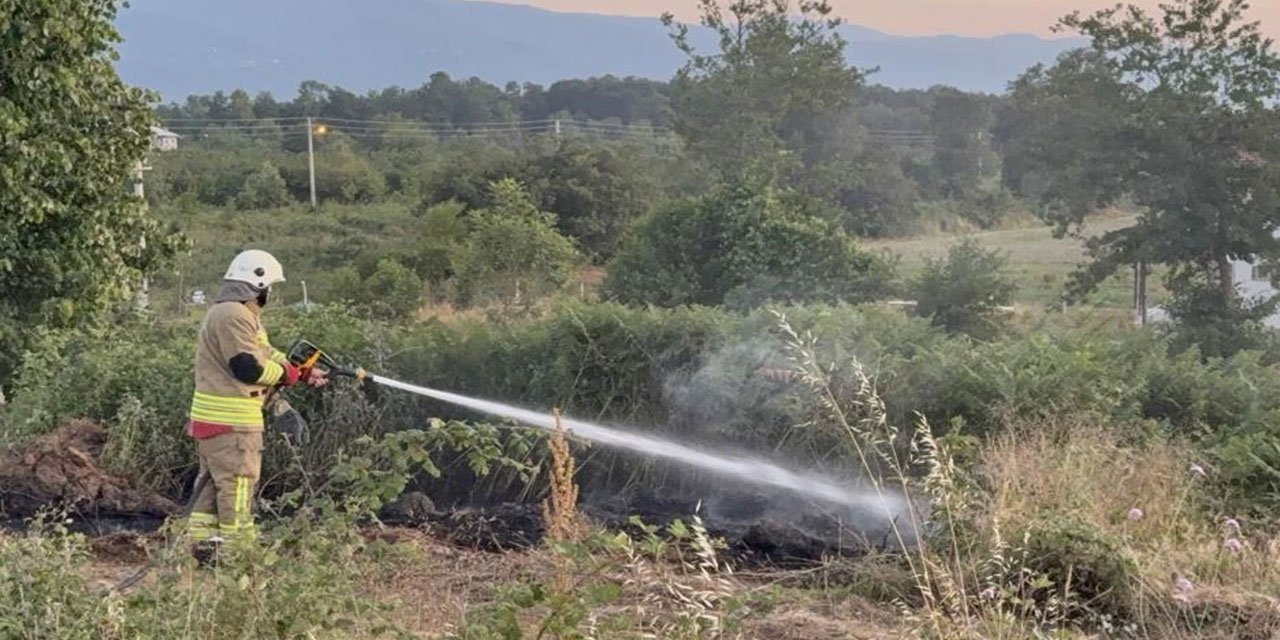 Yol kenarına atılan izmarit, yangın çıkardı