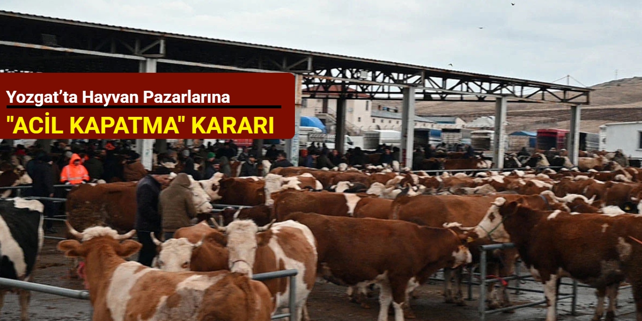 Yozgat’ta hayvan pazarlarına "acil kapatma" kararı