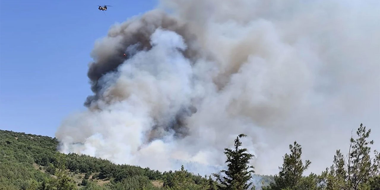 Balıkesir'de orman yangını çıktı