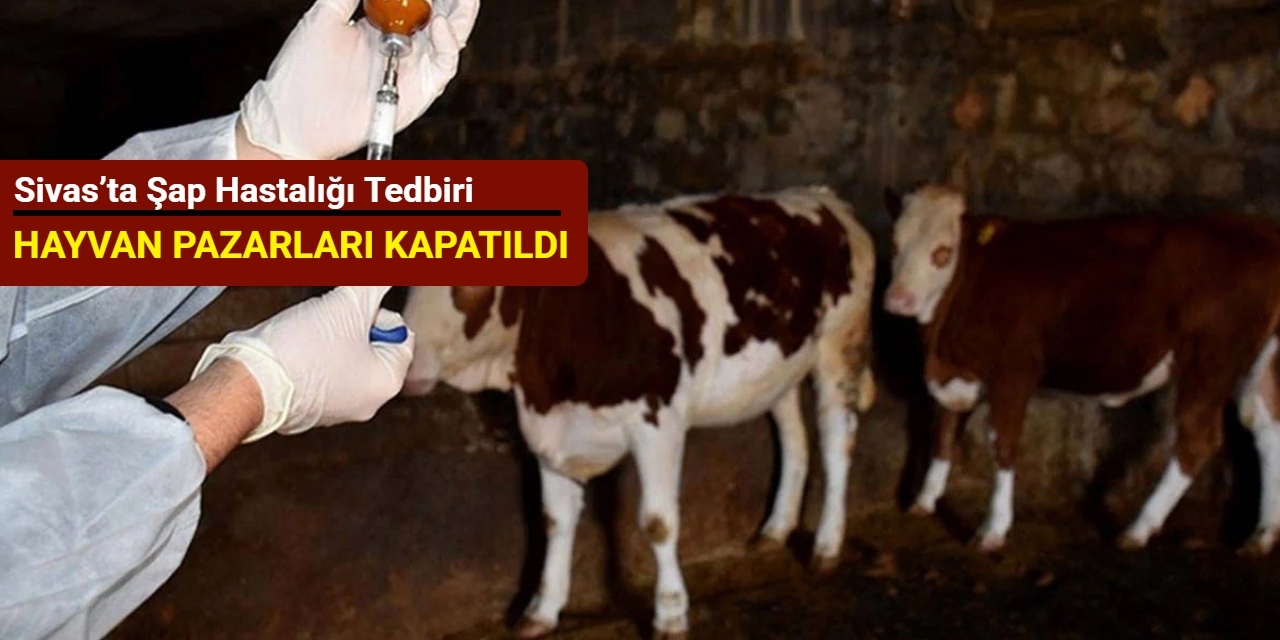 Sivas’ta şap hastalığı tedbiri: Hayvan pazarları kapatıldı