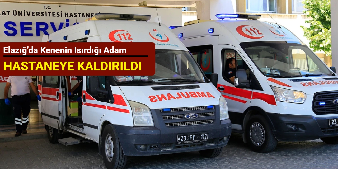 Elazığ’da kenenin ısırdığı adam hastaneye kaldırıldı