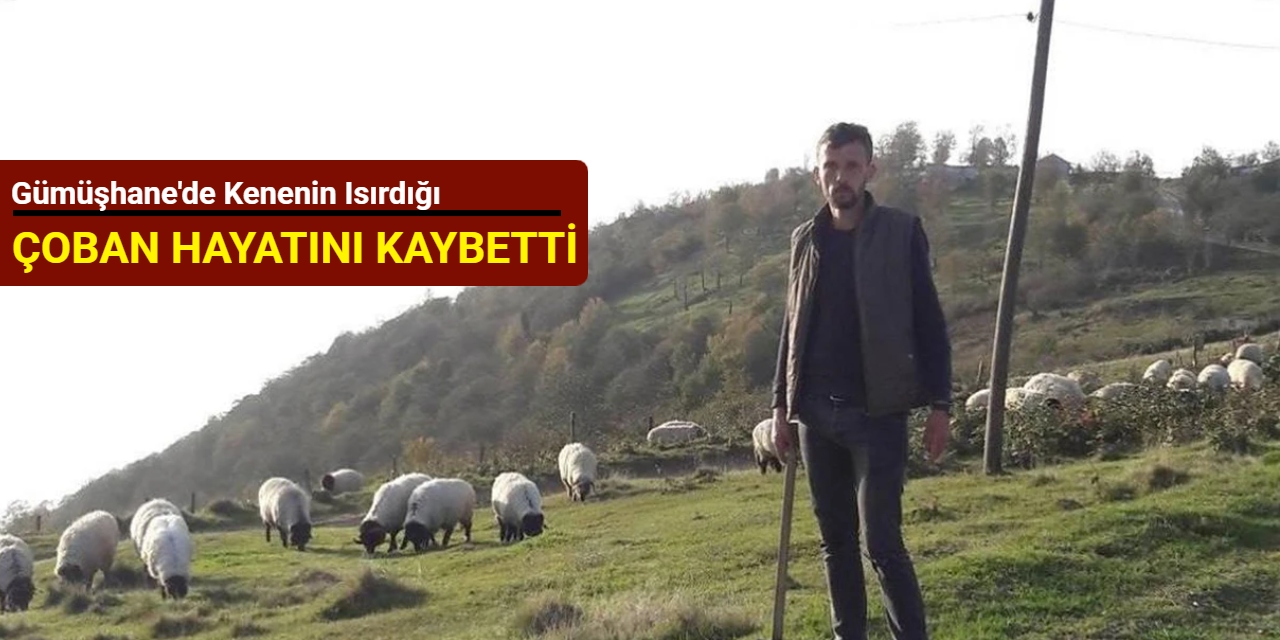 Gümüşhane'de kenenin ısırdığı çoban hayatını kaybetti