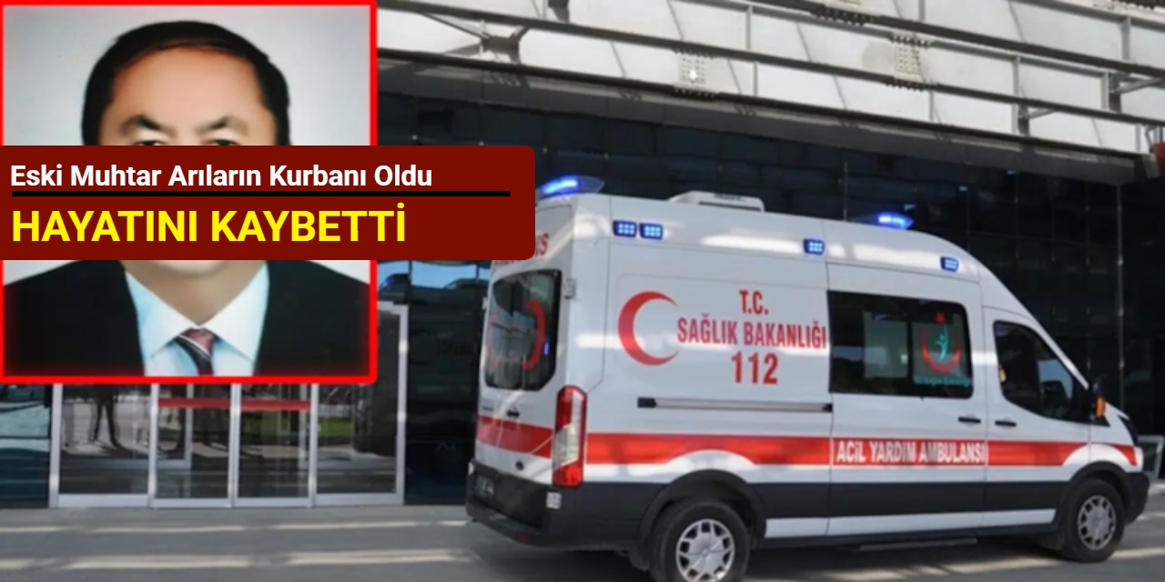 Eski muhtar arıların kurbanı oldu: Hayatını kaybetti