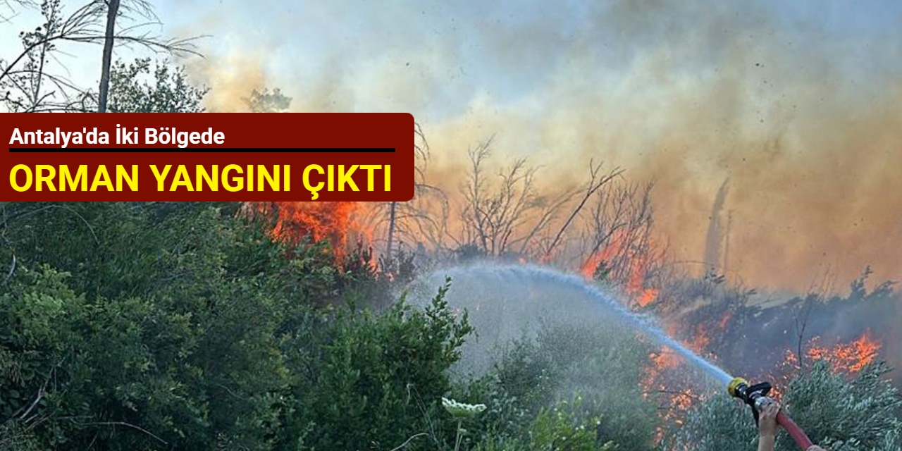 Antalya'da iki bölgede orman yangını çıktı
