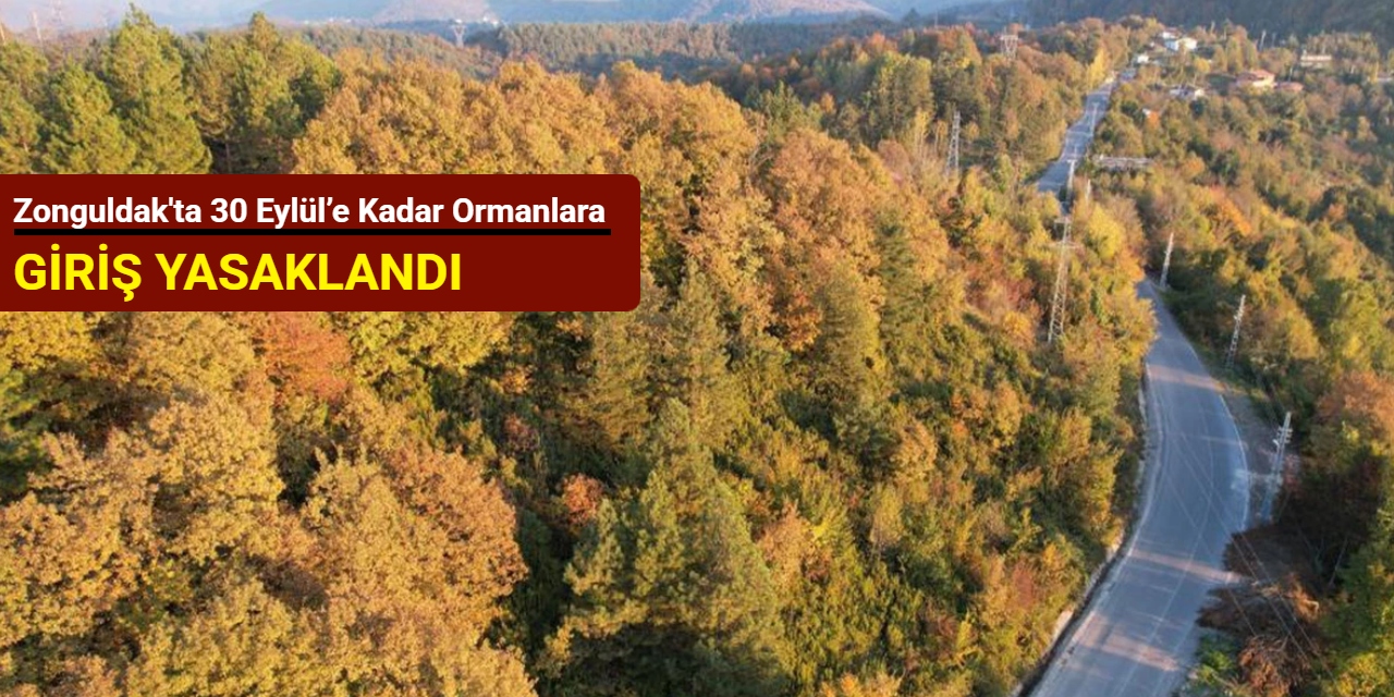 Zonguldak'ta 30 Eylül’e kadar ormanlara giriş yasaklandı