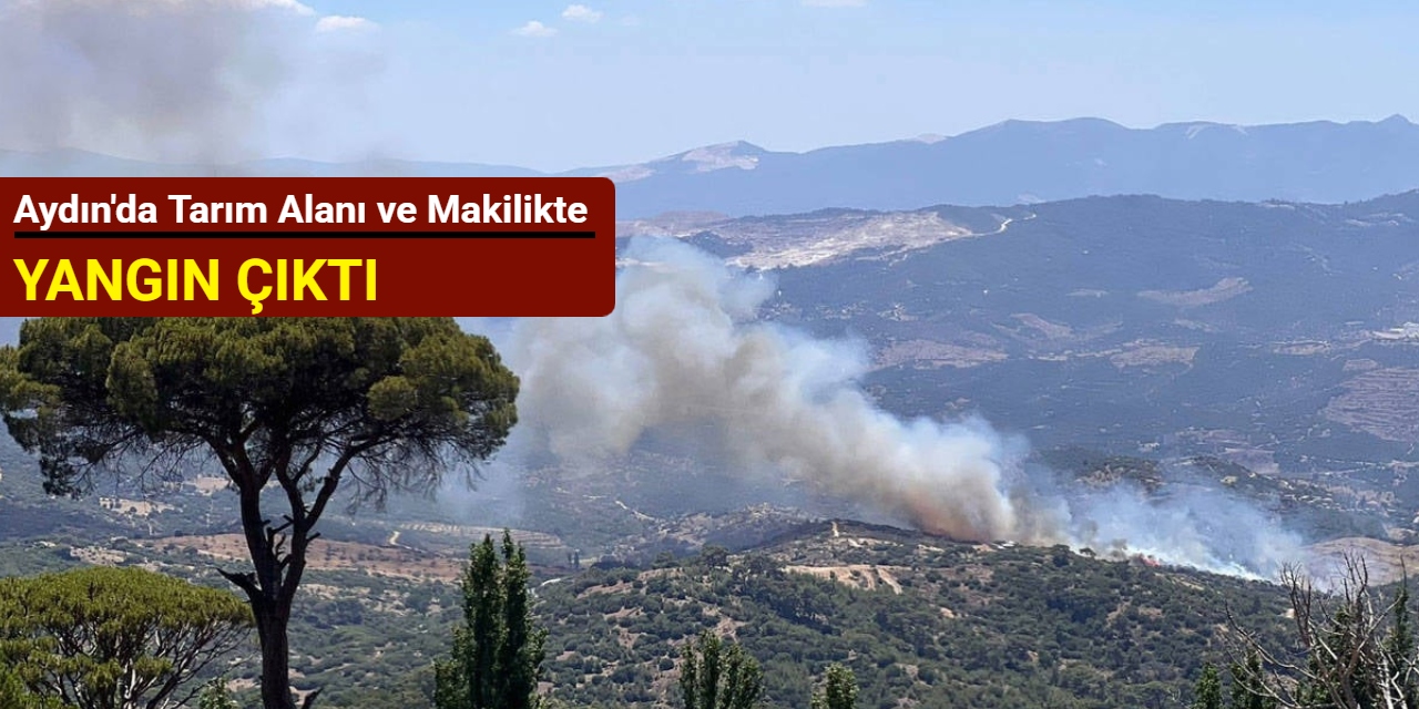 Aydın'da tarım alanı ve makilikte yangın çıktı