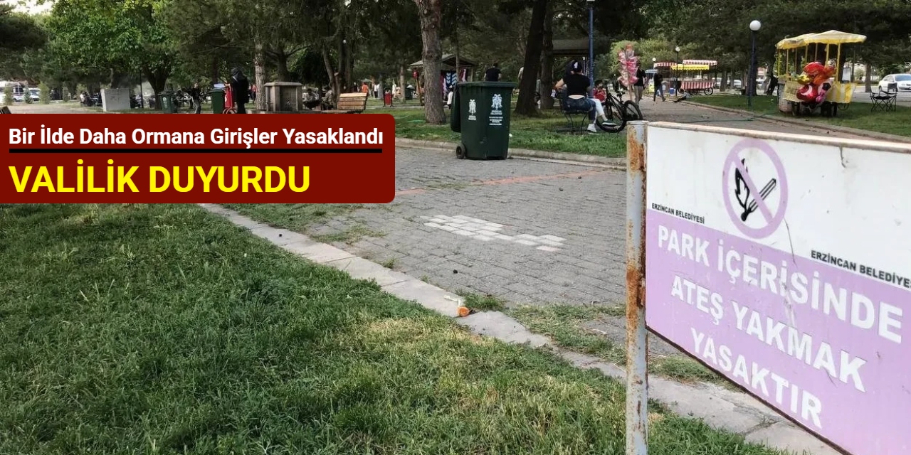 Valilik duyurdu: Bir ilde daha ormana girişler yasaklandı