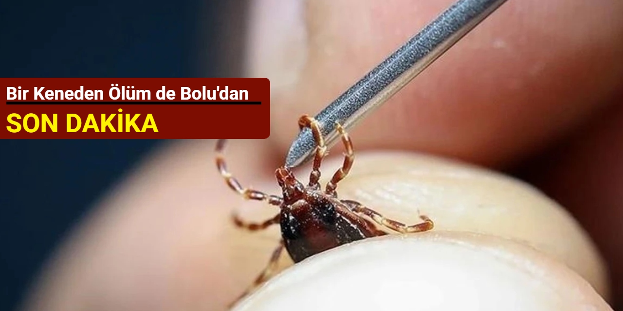 Bir keneden ölüm de Bolu'dan