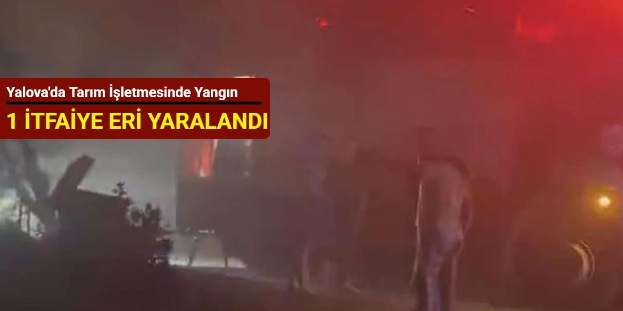 Yalova'da tarım işletmesinde yangın: 1 itfaiye eri yaralandı