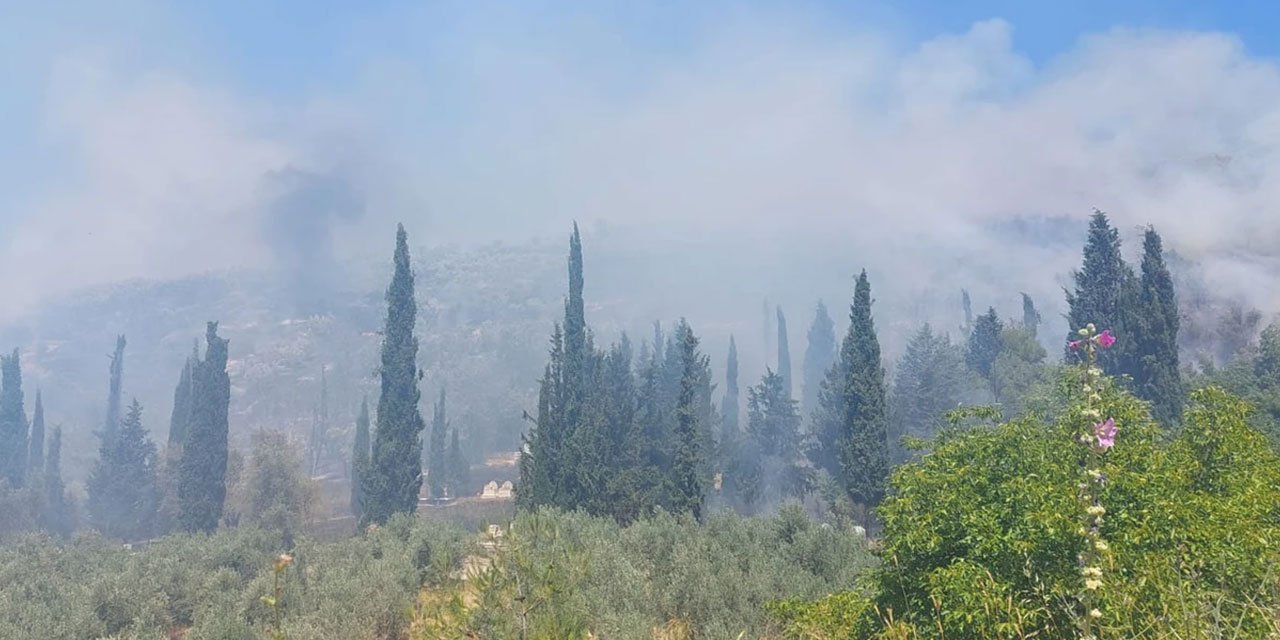 Bursa'daki orman yangınıyla ilgili 1 şüpheli tutuklandı