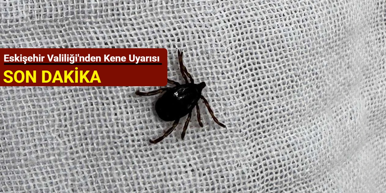 Eskişehir Valiliği'nden kene uyarısı