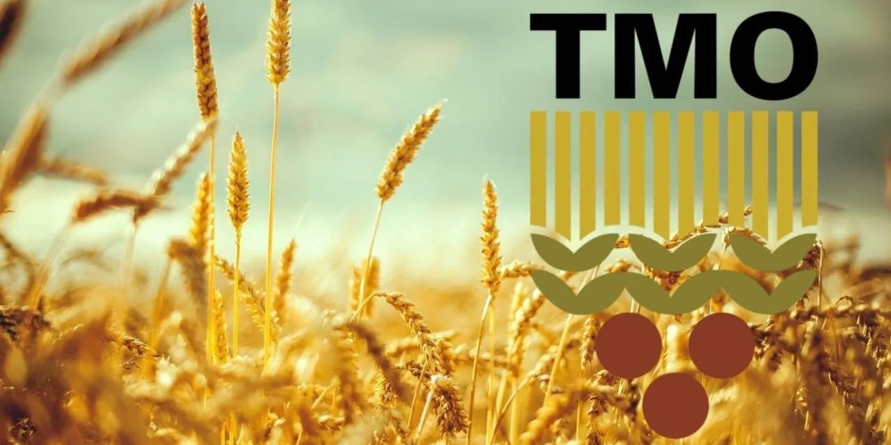 TMO en az lise mezunu personel alımına başladı