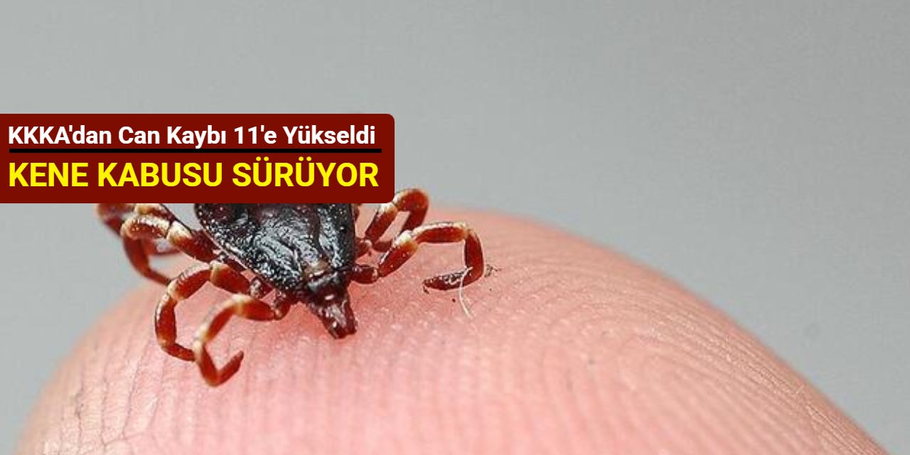Kene kabusu sürüyor: KKKA'dan can kaybı 11'e yükseldi