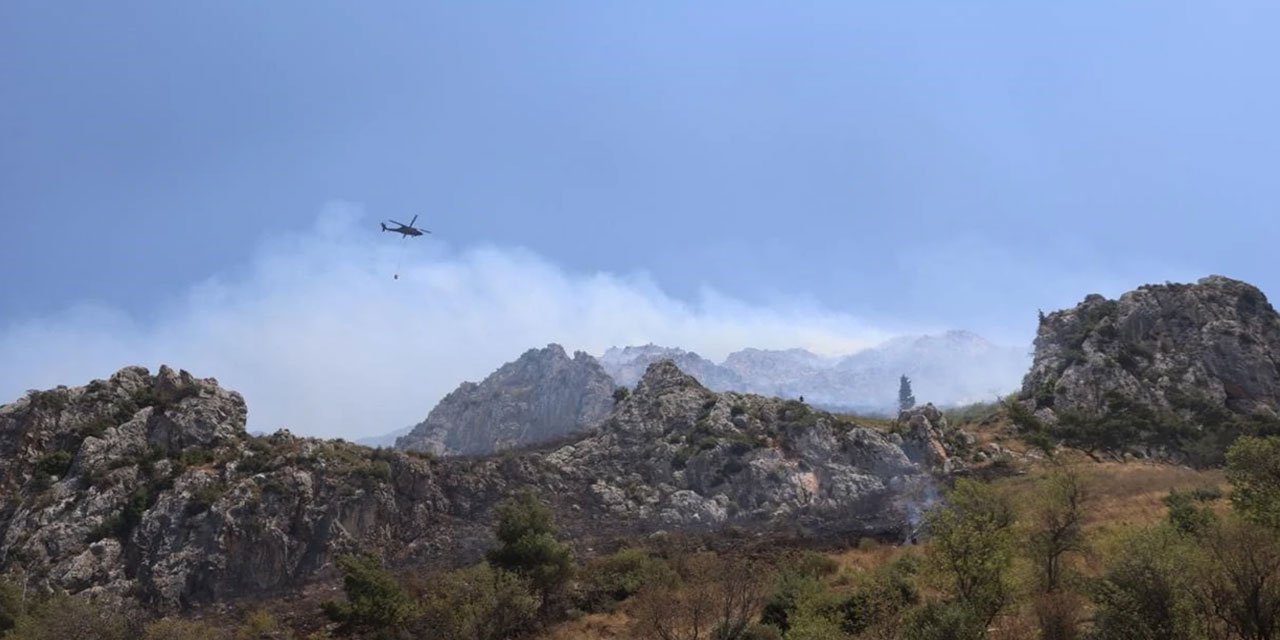 Hatay'da orman yangını