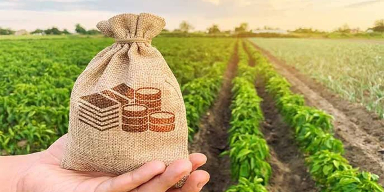 Çiftçilik yapacaklara 2 milyar TL'lik destek ödemesi: IPARD başvurusu başladı