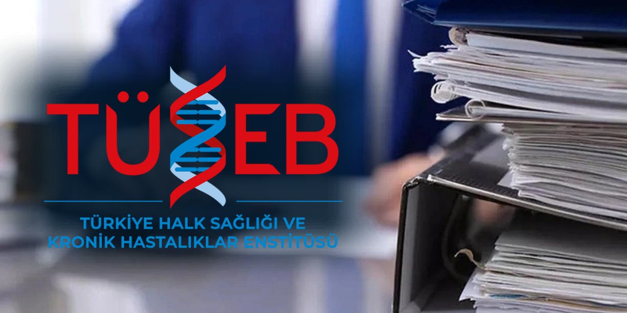 Türkiye Sağlık Enstitüleri Başkanlığı en az lise mezunu personel alımı başvurusu nasıl yapılır?