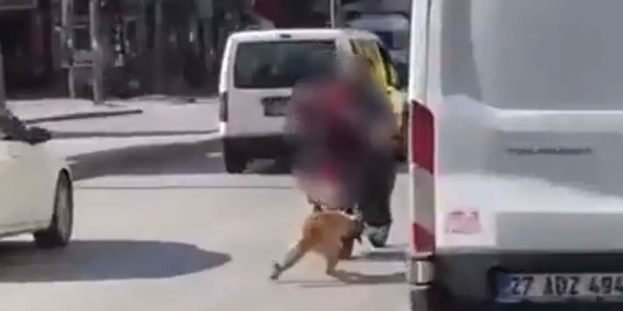 Gaziantep'te kan donduran olay: Köpeği motora bağlayıp sürüklediler