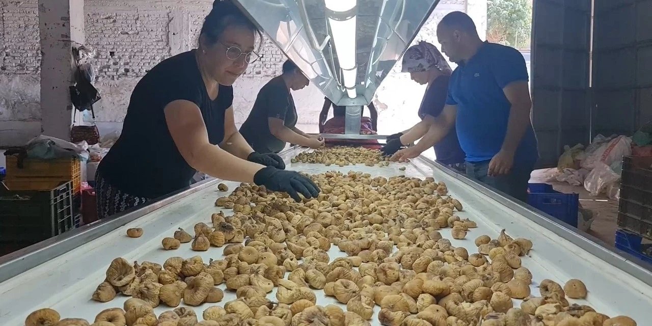 33 günlük iş için 90 bin TL maaş: Yüzlerce işçi alımı yapılacak