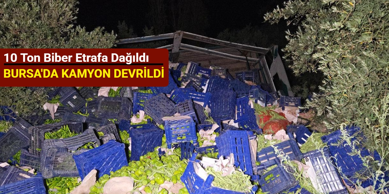 Bursa'da kamyon devrildi: 10 ton biber etrafa dağıldı