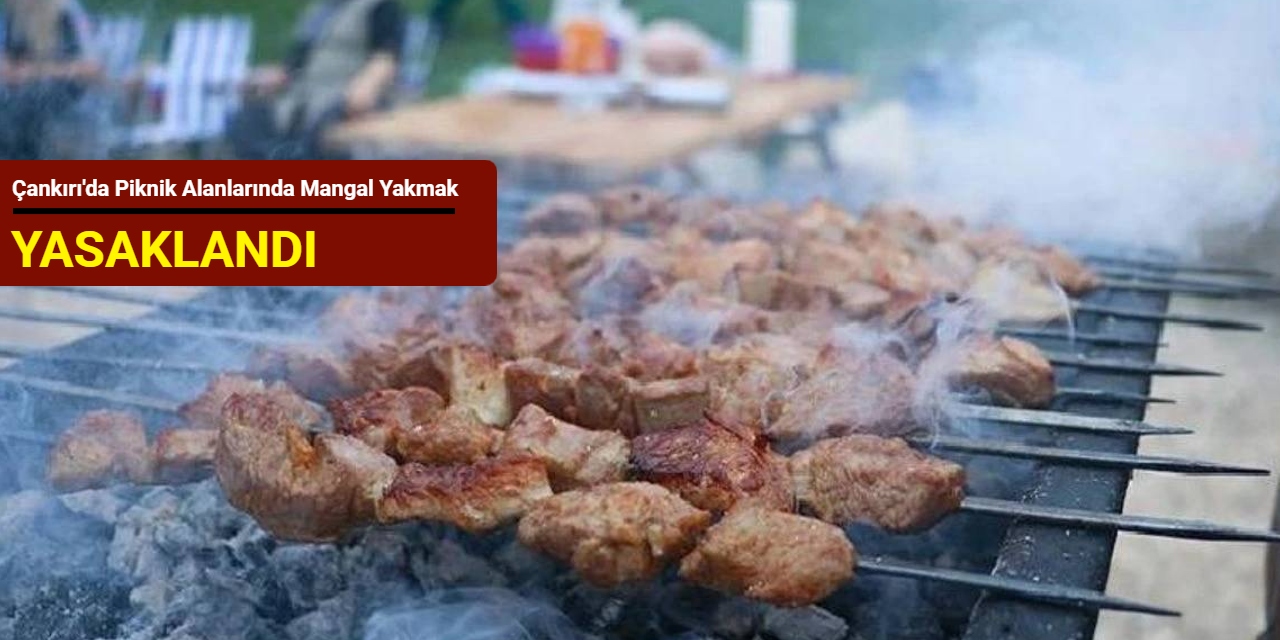 Çankırı'da piknik alanlarında mangal yakmak yasaklandı
