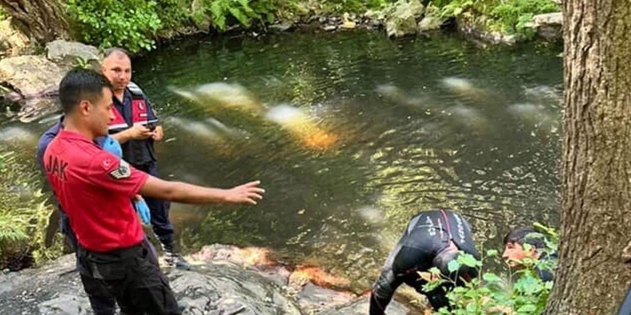 Serinlemek için girdiği şelalede hayatını kaybetti