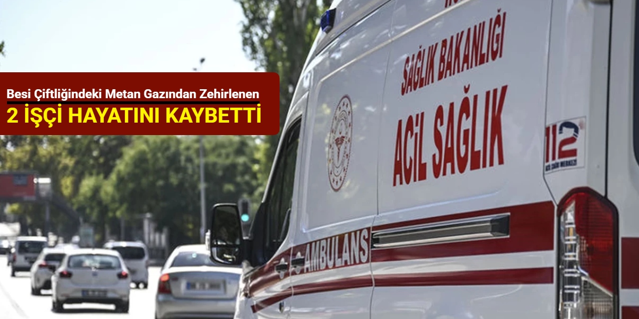 Ankara'da besi çiftliğindeki metan gazından zehirlenen 2 işçi hayatını kaybetti