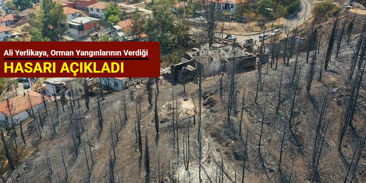 Ali Yerlikaya, orman yangınlarının verdiği hasarı açıkladı