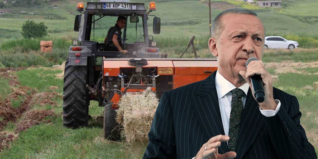 Büyük müjde: Tarım yapmak isteyen gençlere bedava devlet arazisi verilecek