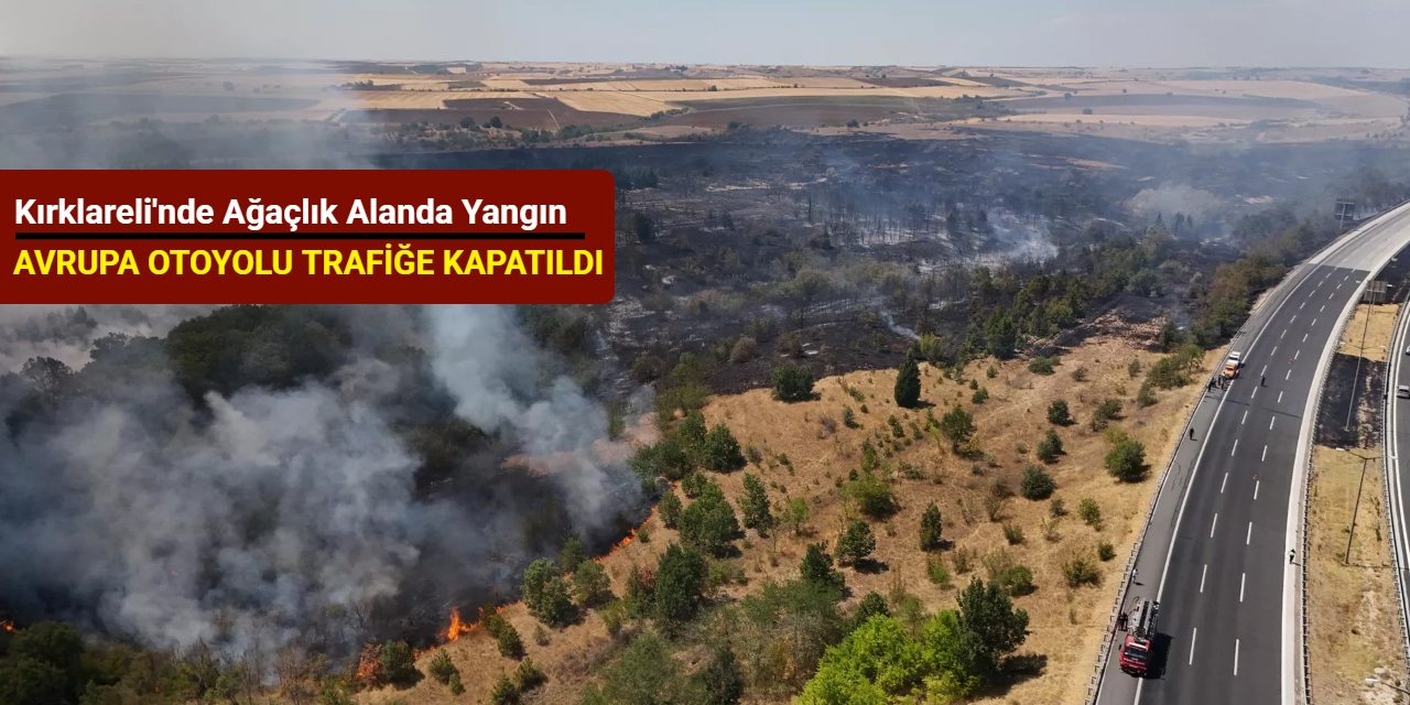 Kırklareli'nde ağaçlık alanda yangın: Avrupa Otoyolu trafiğe kapatıldı
